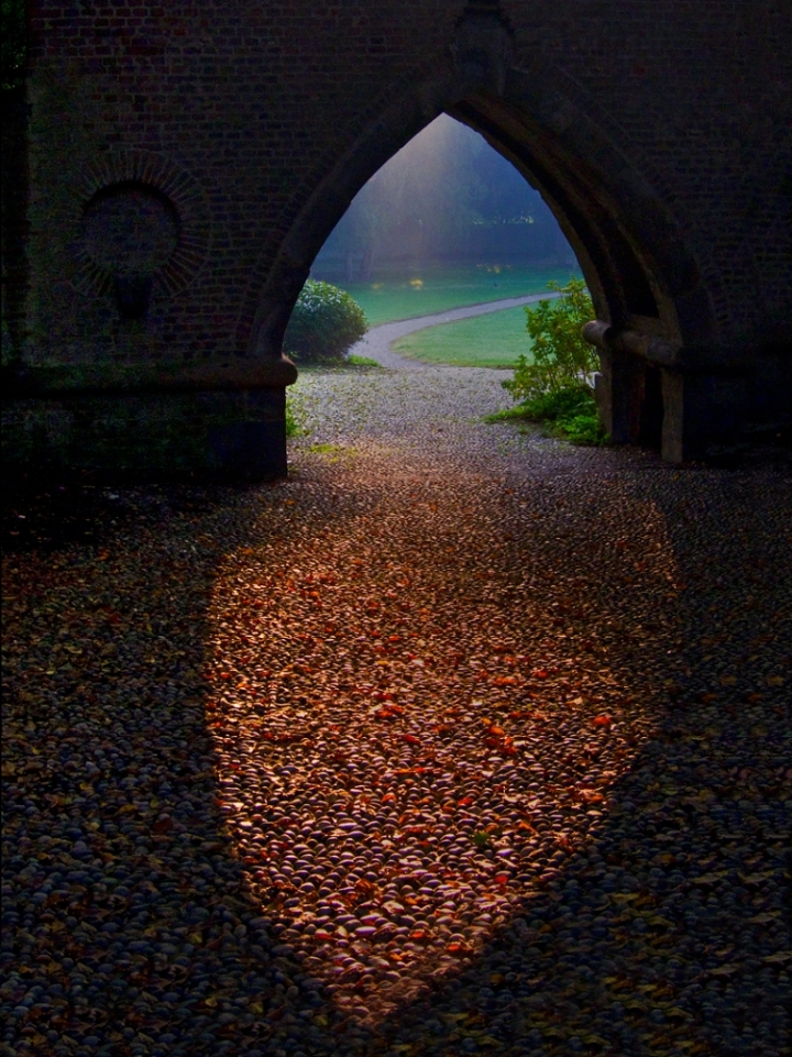 Il Giardino dell'Oblio di vitolongo