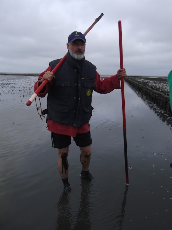 Wadlopen nel Waddezee Guida