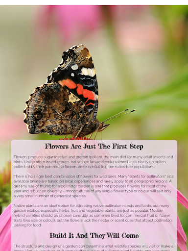 Homestead Gardener Magazine