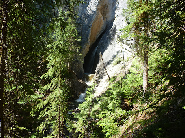 PN de Yoho: Natural Bridge. Lake Emerald. Takakka Falls. Laughing Falls. 3 de Ju - LAS ROCOSAS DE CANADA. YELLOWSTONE Y GRAND TETON. (17)