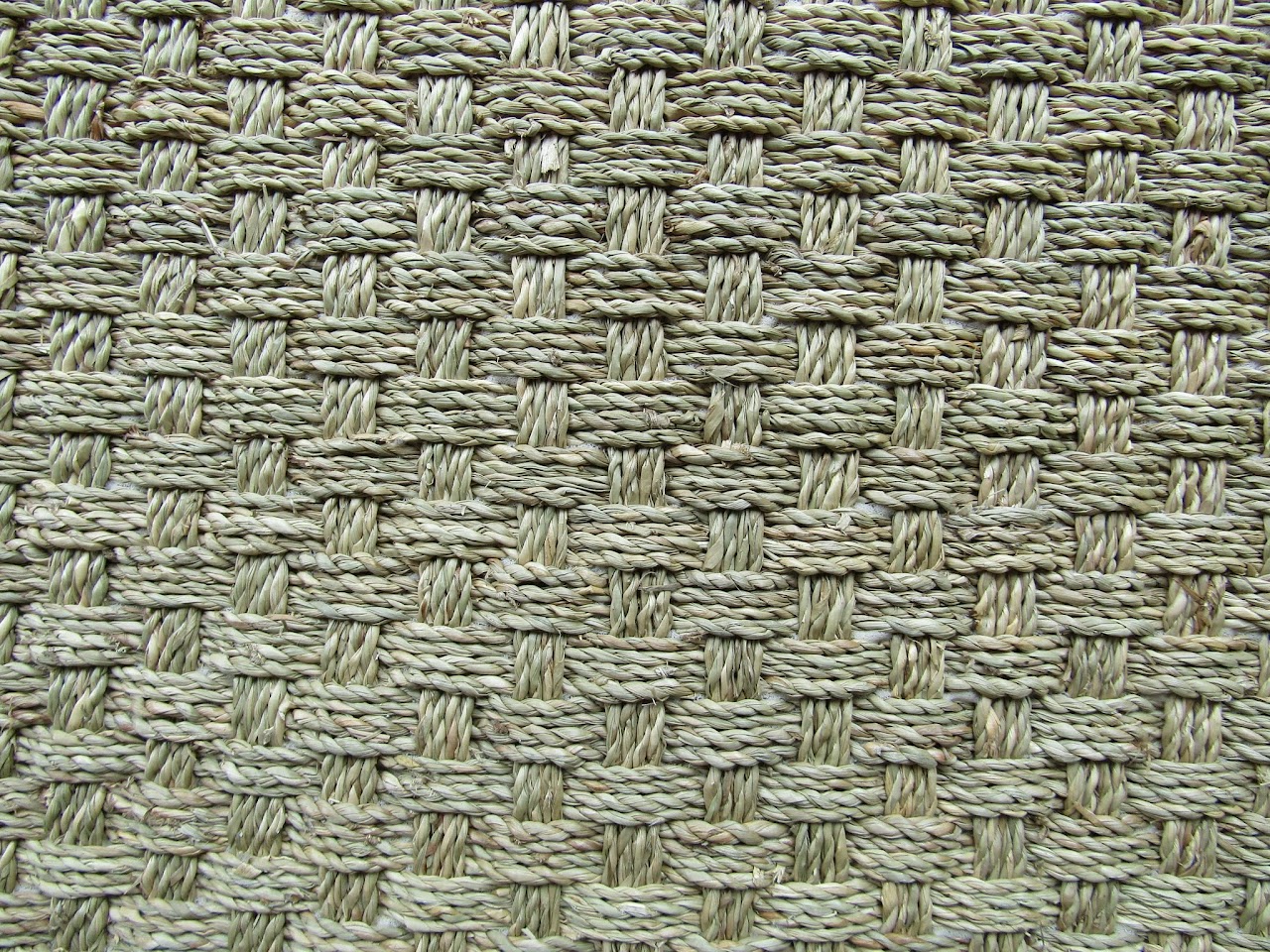 Sea Grass Sisal Rug