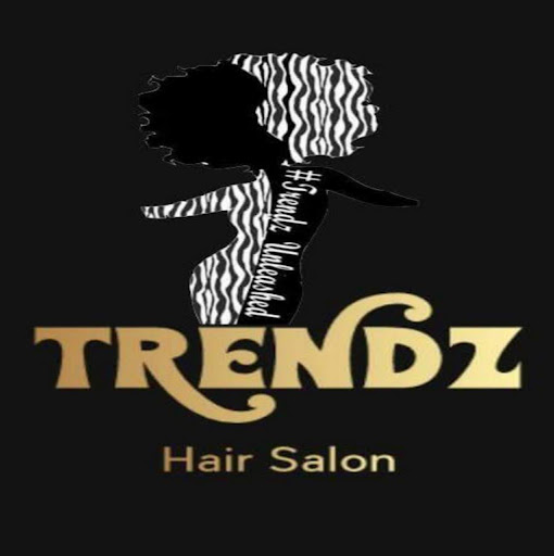 Trendz Hair Salon logo