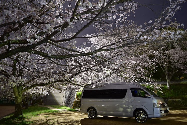 ハイエースワゴンの桜と愛車・夜桜コラボ・一眼撮影・rx-8・プチコラボに関するカスタム事例の投稿画像1枚目