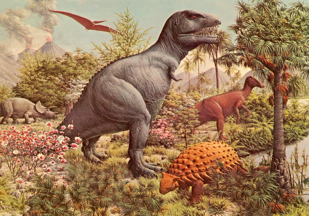 파일:external/donglutsdinosaurs.com/Yale-Zallinger-Tyrannosaurus1-1000x700.jpg