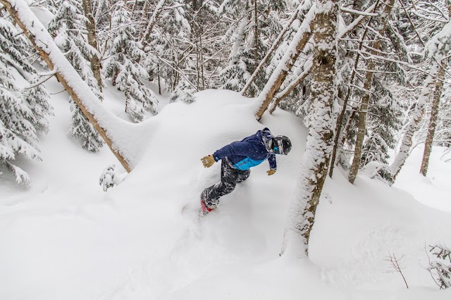 Sugarbush Resort