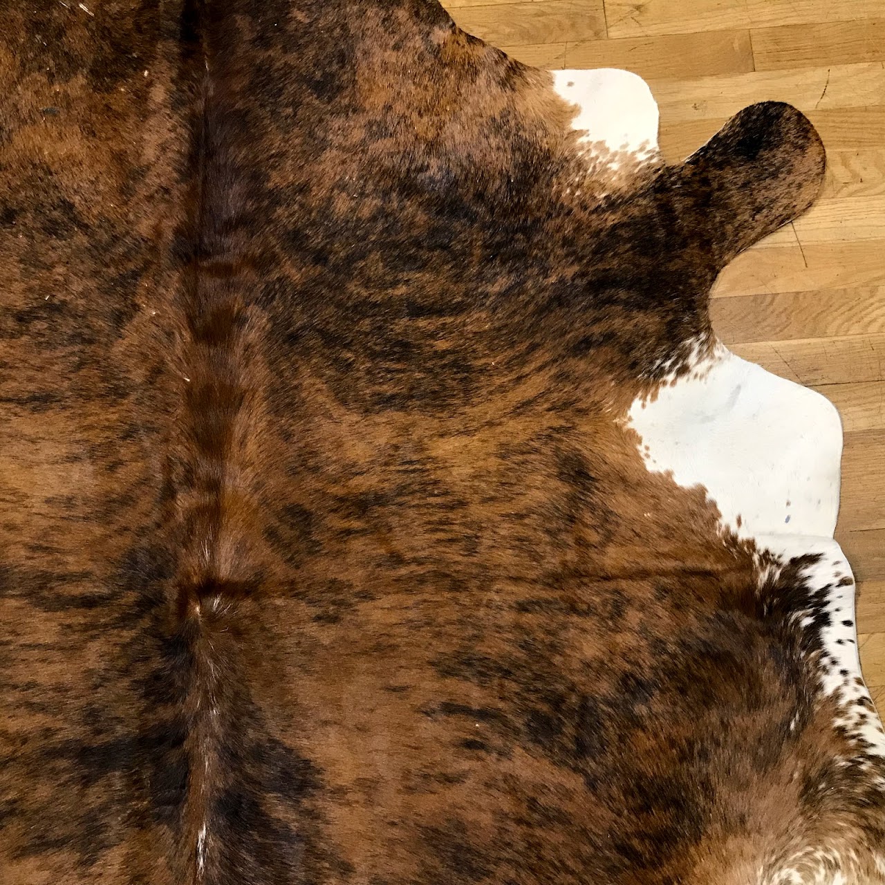 Cowhide Rug