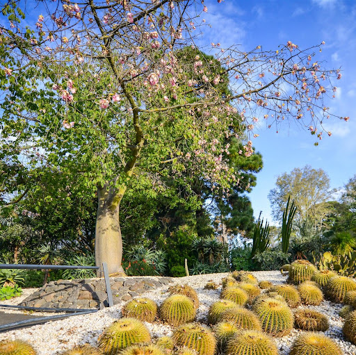 Geelong Botanic Gardens logo