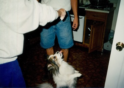 1992-09 flour fight3