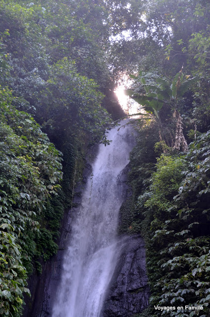 red coral waterfall