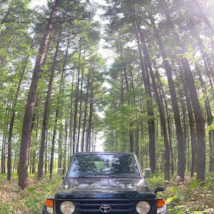ランドクルーザー70 HZJ77V