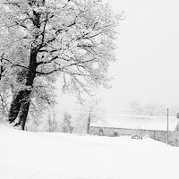 La magia dell'inverno di 