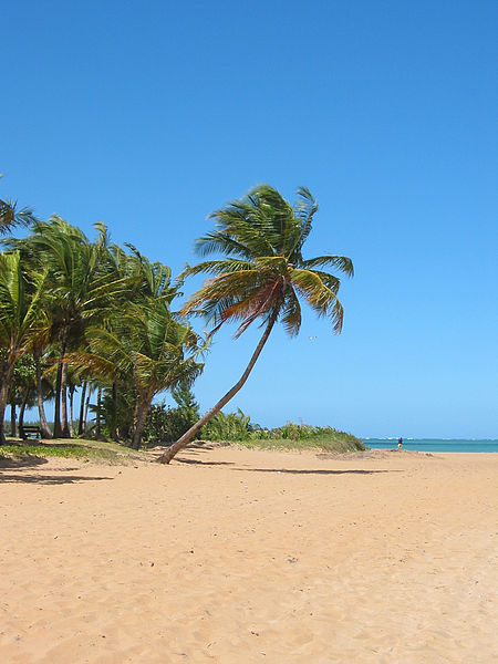 450px-Playa_luquillo.jpg