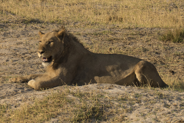 Botswana et Zimbabwe en octobre BotsZim_Oct2015_212