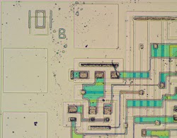 Treatment with acid dissolved most of the metal layer of the 3101 chip, revealing the silicon circuits underneath.