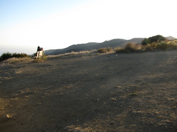 baren ground where the visitors have tread everywhere