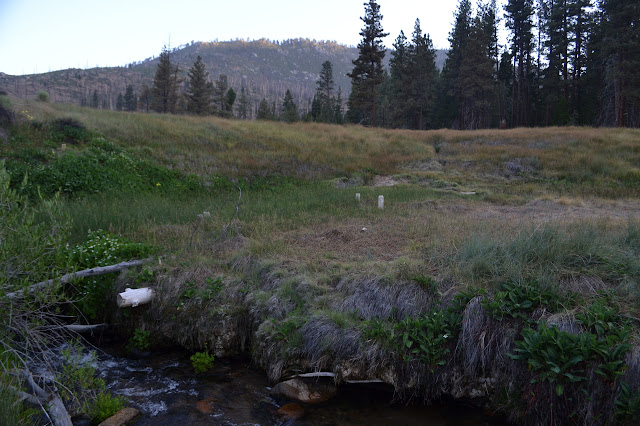 tub ruins