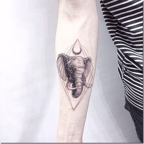 elefante_con_rasgos_sutiles_en_el_brazo elefante_con_rasgos_sutiles_en_el_brazo