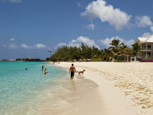 GRAN CAYMAN - DISNEYWORLD, PLAYAS DE FLORIDA Y NAVEGANDO POR EL CARIBE (18)