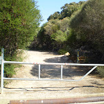 service trail from Wattamolla carpark (31114)