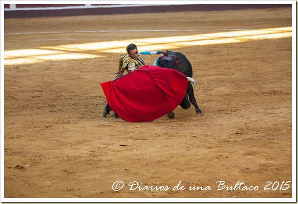 Toros Feria 2015-9875