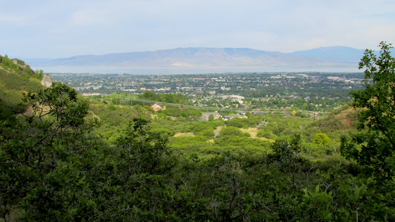 Last view of Provo for a while before it disappeared behind the trees