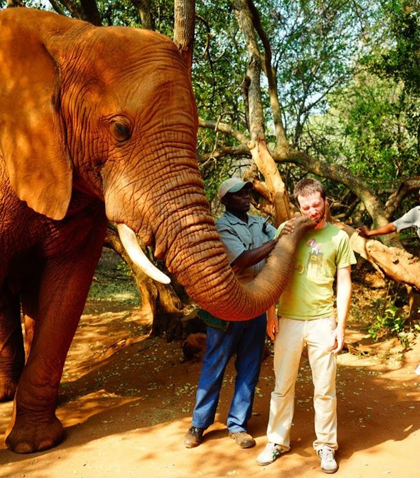 elephant interaction at elephant sanctuary