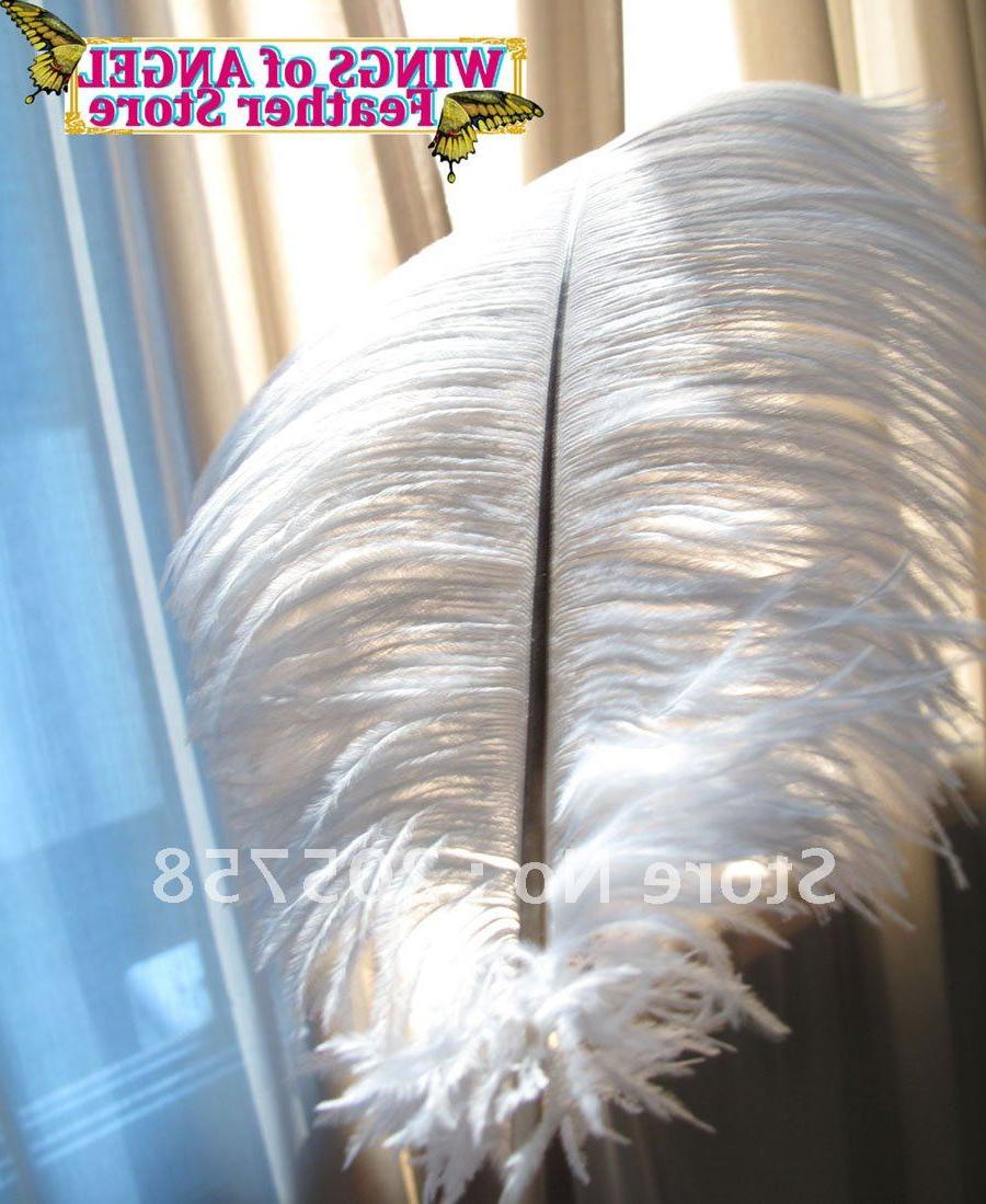 Ostrich Feather Plume,