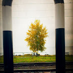 Autumn at the railway station. 20121018-01-railway-station-tree-lake.jpg