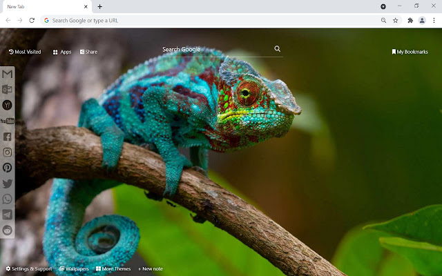 Chameleon Wallpaper