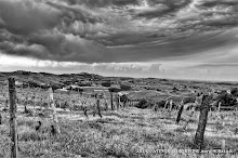 25 aprile 2014 Santo Stefano Belbo e Canelli - fotografia di Vittorio Ubertone