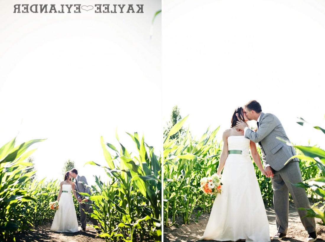 Swans Trail Farm Wedding