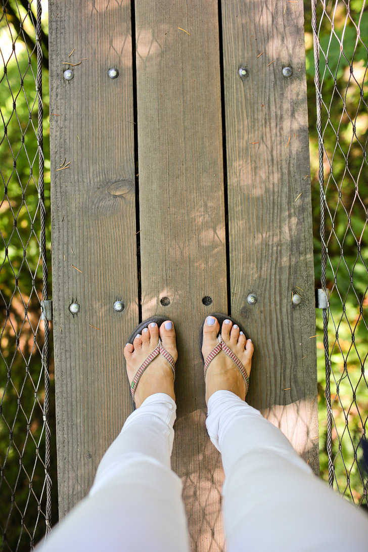 Capilano Cliff Walk Vancouver.