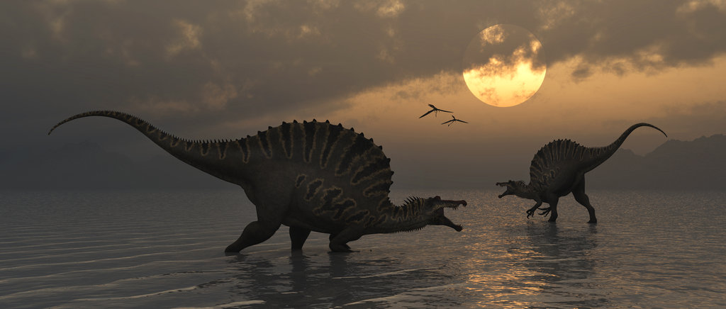 파일:external/fc05.deviantart.net/spinosaurus_fishing_183a1h_by_maspix-d62hj39.jpg