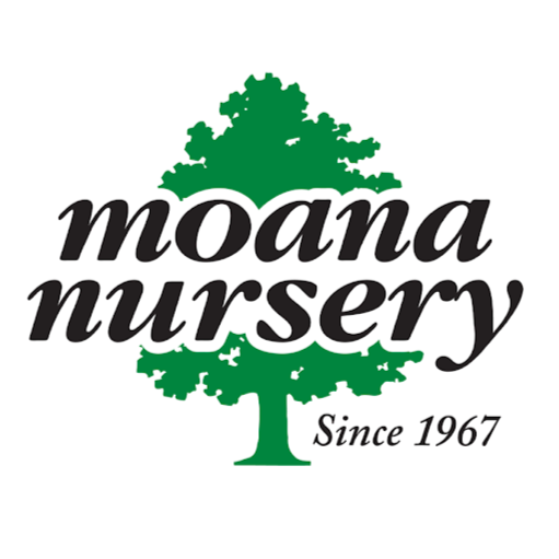 Moana Nursery logo