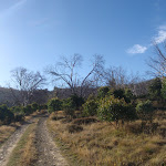 Road up the hill to Rocky Plain camp ground