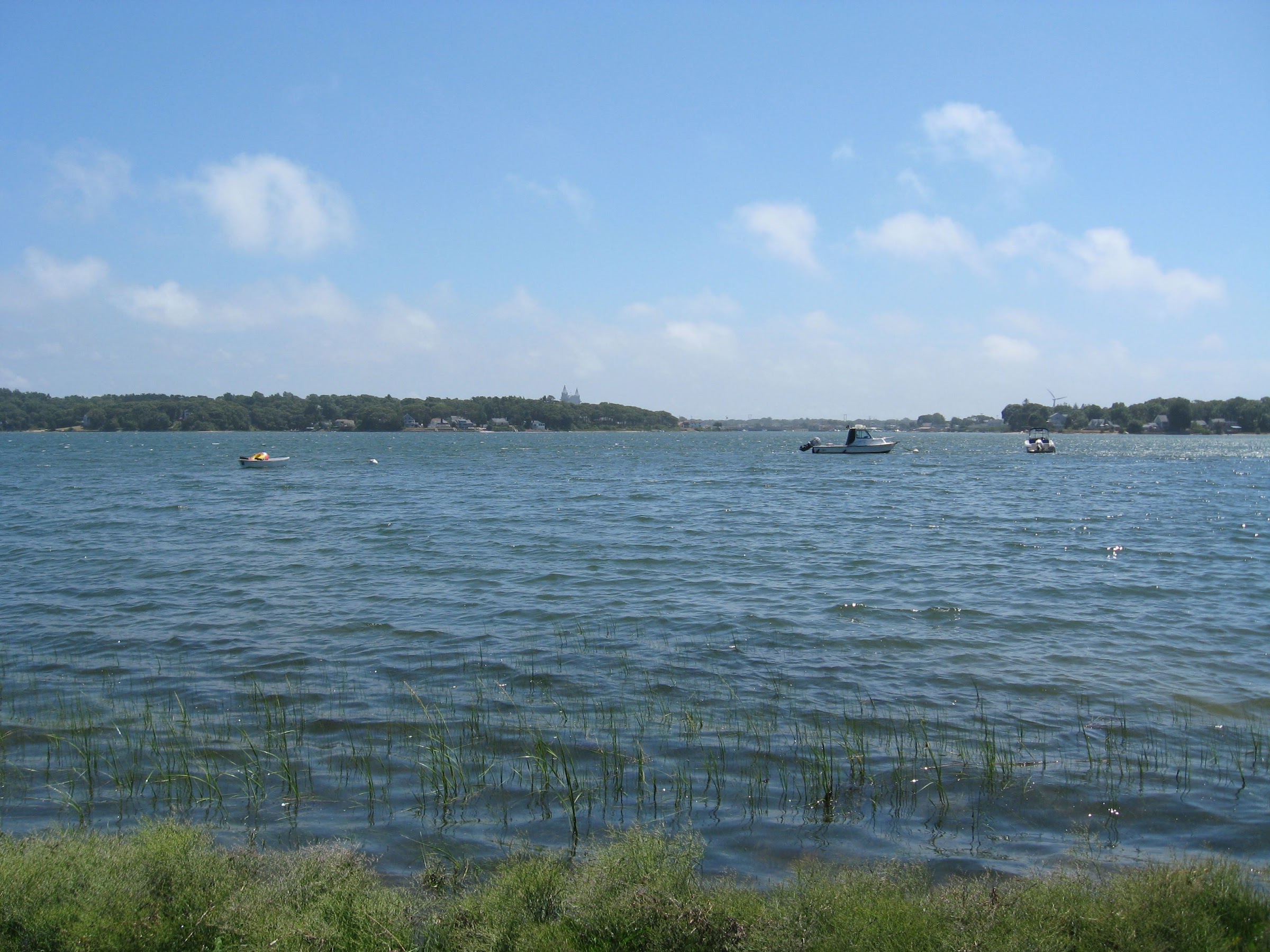 Buttermilk Bay as seen from a path at the Lyman Reserve