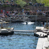 93_Tierpark-Nürnberg_06.05.16_©AlexanderLanzloth.jpg