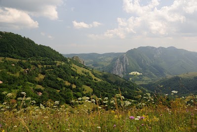 Blick auf Valea Uzei