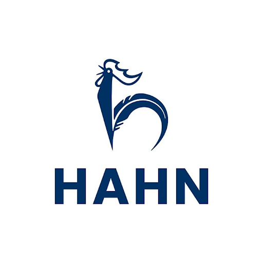 Hahn Automobile | Volkswagen Partner Bietigheim logo