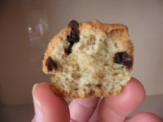  GALLETAS INTEGRALES CON CHOCOLATE Y NUECES 