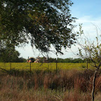 Click to Expand The lane leading into the house