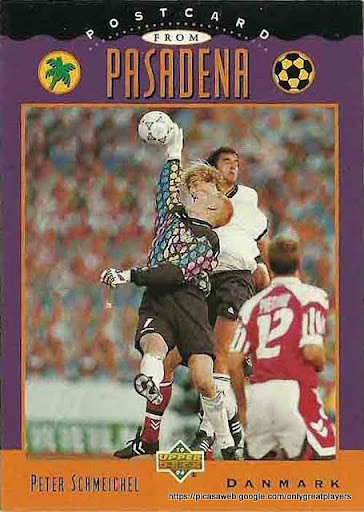 SCHMEICHEL_peter_World_Cup_USA-94_1994_upper_deck_cards