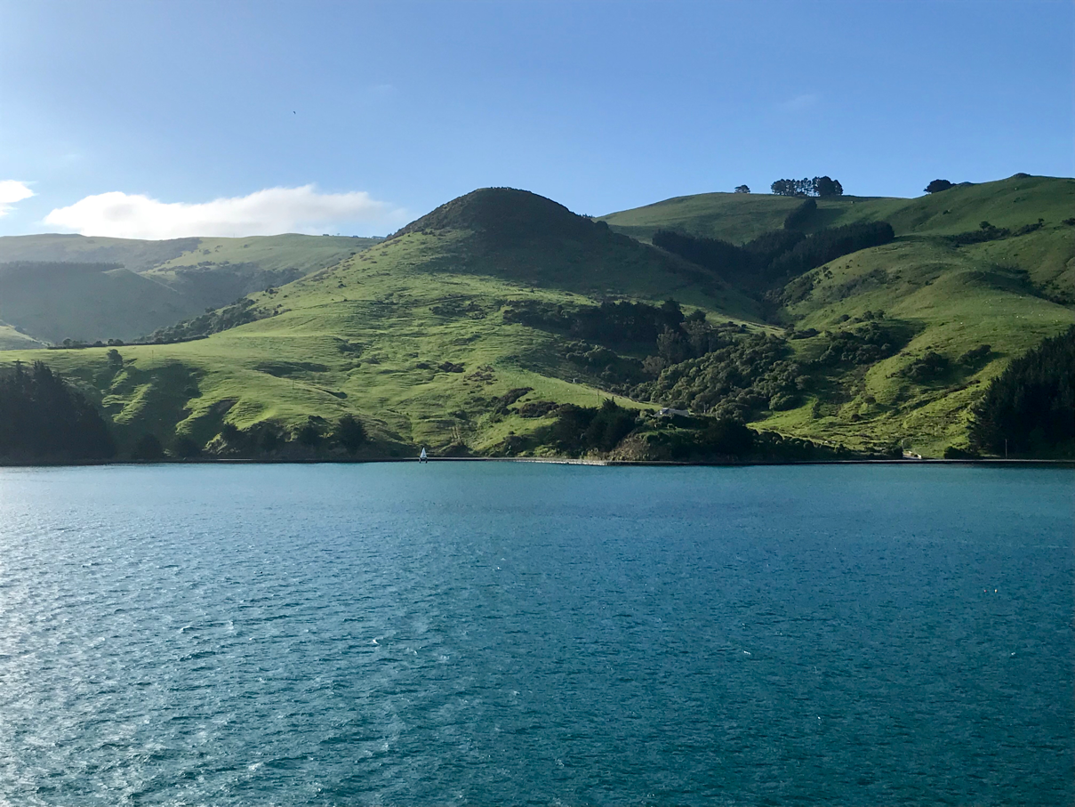 Yellow Fish cruises: Day 37: Port Chalmers / Dunedin