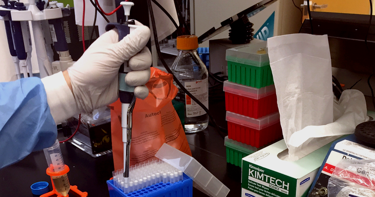 Pipetar Pipetar