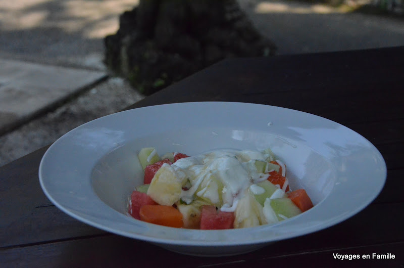 Ubud view bungalow - Continental Breakfast