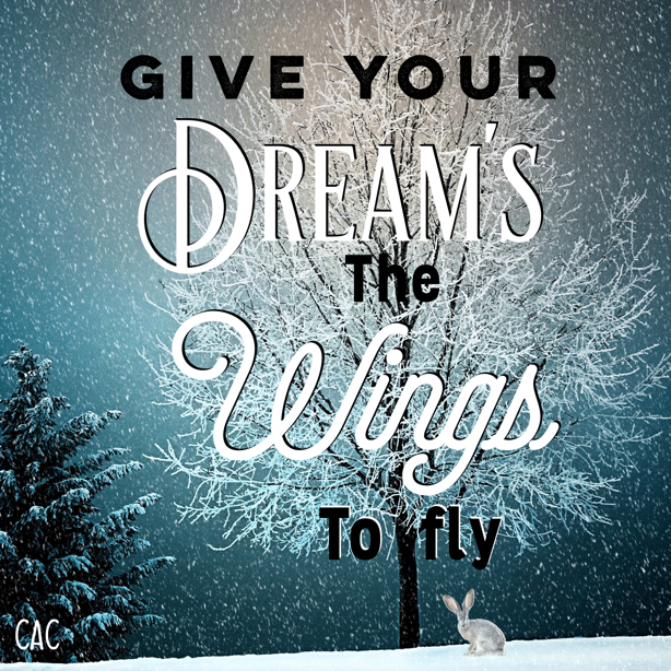 Cessilee: Give your dreams wings