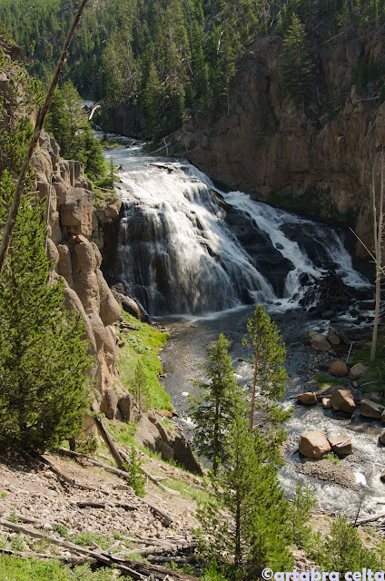 ZONA GEOTERMAL DE YELLOWSTONE N.P. (WYOMING, USA), Naturaleza-USA (5)