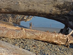 South Beach, Olympic National Park 