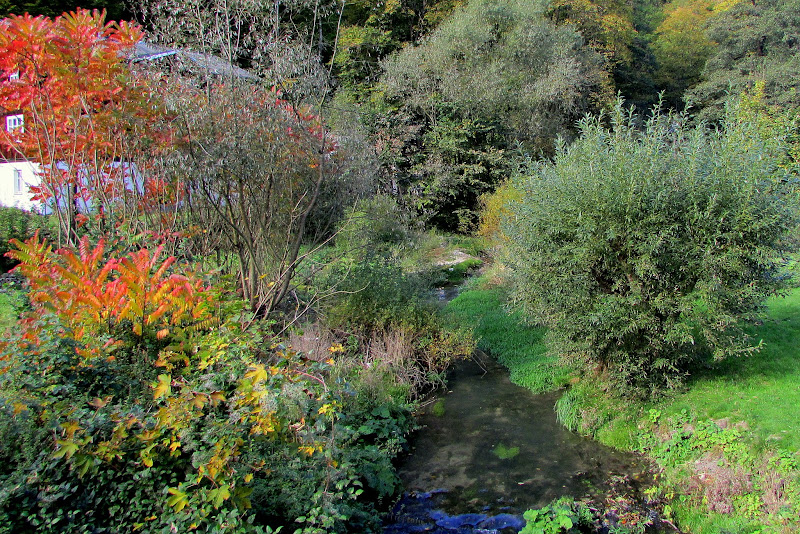 El Parque Nacional de Ojców - POR LO QUE SE OBVIA Y NO SE OBVIA DE CRACOVIA (6)