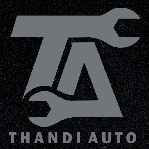 Thandi Auto Care logo